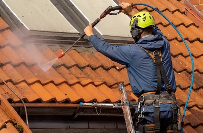 Démoussage et hydrofuge de toiture à Brach
